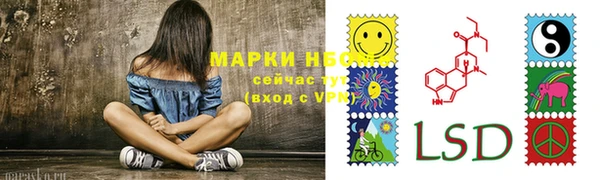 СК Арсеньев