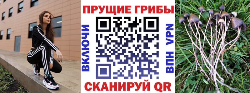 Псилоцибиновые грибы Psilocybine cubensis  где купить наркоту  Каменск-Уральский 